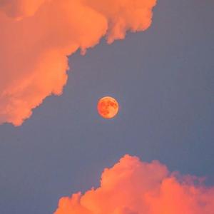 㢨videos熟睡人妻
